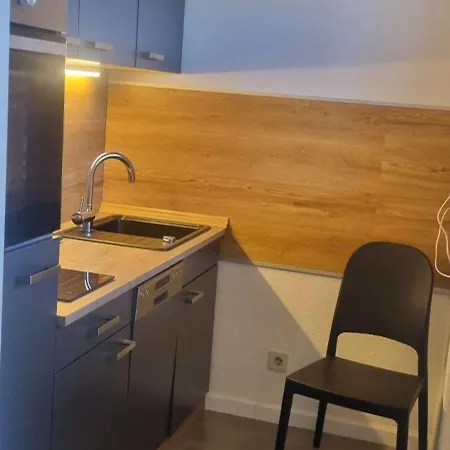 公寓 Apartment Chalet Bad Toelz 巴特特尔茨